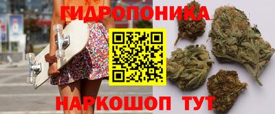 ешки Будённовск
