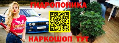 ешки Будённовск