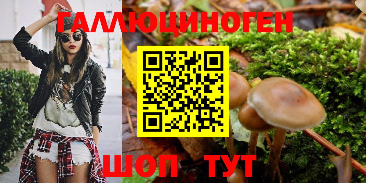 закладки  Галлюциногенные грибы Psilocybe  Вход с VPN  Нальчик 